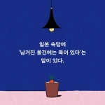 알라딘 : 카드리뷰