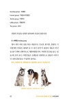 우리집 댕댕이 : 알라딘