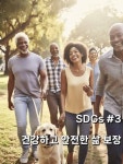 알라딘: [전자책] SDGs #3 건강하고 안전한 삶 보장 [전자책] SDGs #3 건강하고 안전한 삶 보장