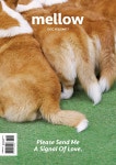 7 | 펫앤스토리 편집부 | 알라딘 Mellow Dog Volume 7 (멜로우매거진) | Mellow Volume 7  | 펫앤스토리 편집부