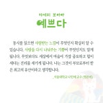 자세히 보아야 예쁘다 : 알라딘