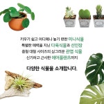 시작해요! 식물생활 : 알라딘