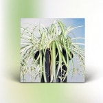 이강승 - Korean Dream [10인치 45PRM 블랙반 바이닐 / OBI] | 이강승 노래 | 알라딘 이강승 - Korean Dream [10인치 45PRM 블랙반 바이닐... 