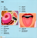 알면 알수록 신비로운 우리 몸 | 제이미 콜린스 | 알라딘 알면 알수록 신비로운 우리 몸 | 제이미 콜린스