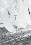 마주 | 최은미 | 알라딘 마주 | 최은미