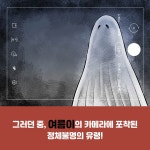 공포 수집가 2 | 고래동화마을 15 | 김희철 | 알라딘 공포 수집가 2 | 고래동화마을 15 | 김희철