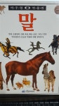 [중고] 중세의 기사(비주얼 박물관) : 알라딘