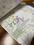 알라딘: [중고] 비밀의 정원 [중고] 비밀의 정원