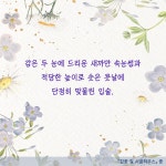 감꽃 길 시골하우스 | 이영희 | 알라딘 감꽃 길 시골하우스 | 이영희