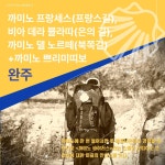 까미노 프랑세스 Camino Franc&#233;s | 김영미 | 알라딘 까미노 프랑세스 Camino Francés | 김영미