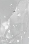 실종자 | 문학동네 세계문학전집 236 | 프란츠 카프카 | 알라딘 실종자 | 문학동네 세계문학전집 236 | 프란츠 카프카