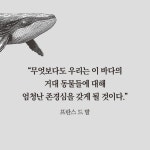 고래와 대화하는 방법 | 톰 머스틸 | 알라딘 고래와 대화하는 방법 | 톰 머스틸