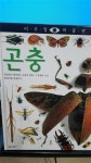 [중고] 곤충/ 비주얼박물관 : 알라딘