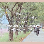 세상에 없던 학교 | 용방초교육공동체 | 알라딘 세상에 없던 학교 | 용방초교육공동체