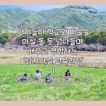 세상에 없던 학교 | 용방초교육공동체 | 알라딘 세상에 없던 학교 | 용방초교육공동체