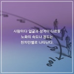 느리게 나이 드는 습관 | 정희원 | 알라딘 느리게 나이 드는 습관 | 정희원