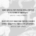 정상동물 | 김도희 | 알라딘 정상동물 | 김도희