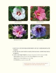 [중고] 딩동~ 나라꽃 도감 : 알라딘