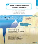알수록 신기한 초등 과학 그림책 | 내일도 맑은 어린이 | 테즈카 아케미 | 알라딘 알수록 신기한 초등 과학 그림책 | 내일도 맑은 어린이  | 테즈카... 
