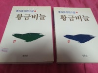 알라딘: [중고] 황금비늘 세트-전2권 1997년 초판 동문선 / 상태 최상 [중고] 황금비늘 세트-전2권 1997년 초판  동문선  /    상태  최상 