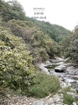 알라딘: 홍천상상 2023.Vol.1 홍천상상 2023.Vol.1