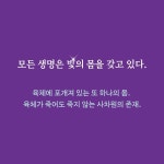 카드리뷰 : 알라딘
