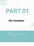 2024 이기적 SQL 개발자 이론서 + 기출문제 : 알라딘