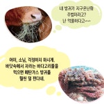 10년 뒤, 어떤 일이 생길까? | 청소년을 위한 과학 읽기 | 김영호 | 알라딘 10년 뒤, 어떤 일이 생길까? | 청소년을 위한 과학 읽기  | 김영호