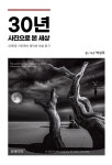 [전자책] 30년 사진으로 본 세상 : 알라딘