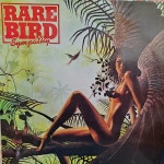 [LP] Rare Bird – Sympathy (예음사) | 알라딘 [LP] Rare Bird ‎– Sympathy (예음사)