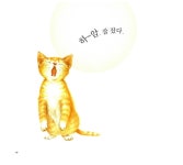 [중고] 잡았다 놓쳤다 : 아기 고양이의 하루 | 미루아루 글, 박소정 그림 | 알라딘 [중고] 잡았다 놓쳤다 : 아기 고양이의 하루 | 미루아루 글, 박소정... 