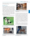 동물보건행동학 | 동물보건행동학 교재연구회 옮김 | 알라딘 동물보건행동학 | 동물보건행동학 교재연구회 옮김