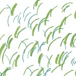 보물찾기 | 고래뱃속 창작그림책 | 슬로우어스 | 알라딘 보물찾기 | 고래뱃속 창작그림책  | 슬로우어스