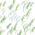 보물찾기 | 고래뱃속 창작그림책 | 슬로우어스 | 알라딘 보물찾기 | 고래뱃속 창작그림책  | 슬로우어스