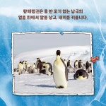 최재천의 동물대탐험 5 : 황제펭귄의 행진 | 최재천의 동물대탐험 5... 5 : 황제펭귄의 행진 | 최재천의 동물대탐험 5 | 최재천 기획, 박현미 그림... 