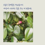 순간이 시가 되다 폰카 시 | 김미희 | 알라딘 순간이 시가 되다 폰카 시 | 김미희