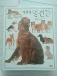 [중고] 세계의 명견들 | 알라딘 [중고] 세계의 명견들