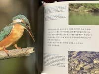 알라딘: [중고] 자연의신비 1-50권 [중고] 자연의신비 1-50권
