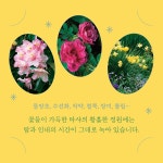 타샤 튜더 나의 정원 : 알라딘