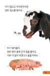 시끌벅적 농장의 하루 | DK 읽는재미 - 레벨 1 2 | 삼성출판사 편집부 | 알라딘 시끌벅적 농장의 하루 | DK 읽는재미 - 레벨 1 2 | 삼성출판사 편집부