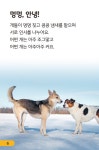 멍멍 개 우리의 친구 : 알라딘