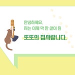 알라딘: 동물병원119 고양이편 동물병원119 고양이편