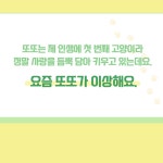 알라딘: 동물병원119 고양이편 동물병원119 고양이편