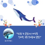 쿠키와 친구들의 돌고래 섬 모험 | 재노 창작동화 1 | 유양석 | 알라딘 쿠키와 친구들의 돌고래 섬 모험 | 재노 창작동화 1 | 유양석