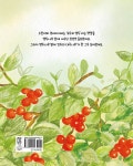 알라딘: 모두의 앵두 모두의 앵두