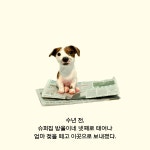 나는 개다 | 백희나 그림책 | 백희나 | 알라딘 나는 개다 | 백희나 그림책  | 백희나