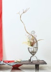 Tea Flower | 일양차문화연구원 | 알라딘 Tea Flower | 일양차문화연구원