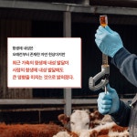 돼지 복지 | 윤진현 | 알라딘 돼지 복지 | 윤진현