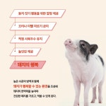 돼지 복지 | 윤진현 | 알라딘 돼지 복지 | 윤진현