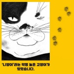 삐약이 엄마 | 백희나 그림책 | 백희나 | 알라딘 삐약이 엄마 | 백희나 그림책  | 백희나